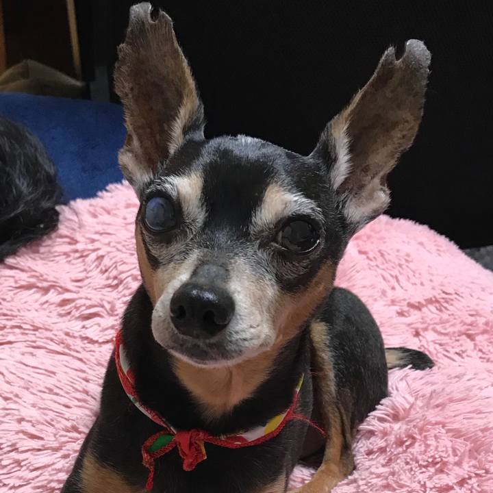 E28154a7 483a 499d b6f4 ae8f724eb164 1533076633535