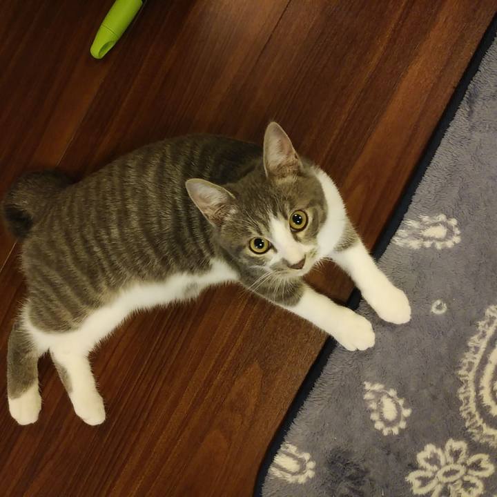 E281593c a069 4a17 9f3f b1dec2daf990 1568555062448