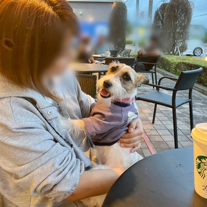 E28175e3 93b8 4030 ac7e e9fb6fd6832f 1625315767480