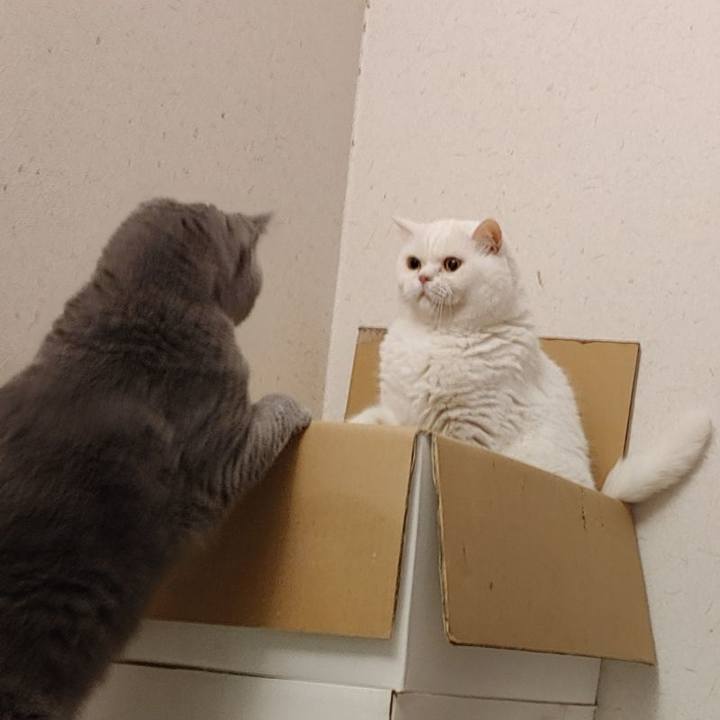 E2818c4b 13ac 41d4 bad9 74b1c951d3fa 1621161082137