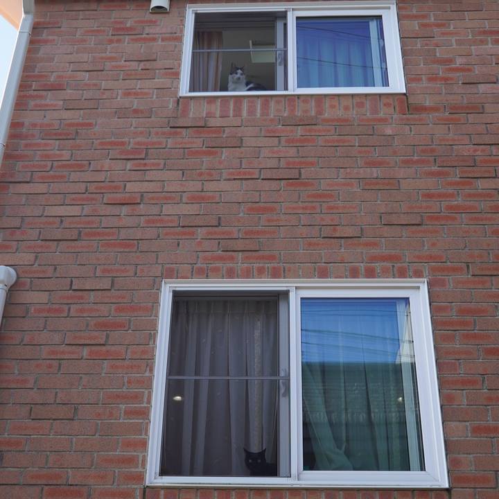 E281f27f 1ae3 48b5 8a22 23a85b4df457 1602771579280