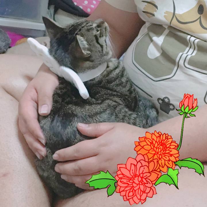 E282022c c05c 4dd0 ac2b 2b49f1f220fd 1552805361789