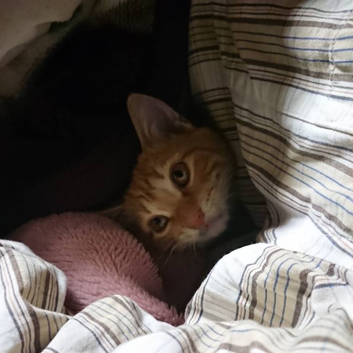 E2827048 decb 43cc 8dfd e1181a24d9a3 1635021077176