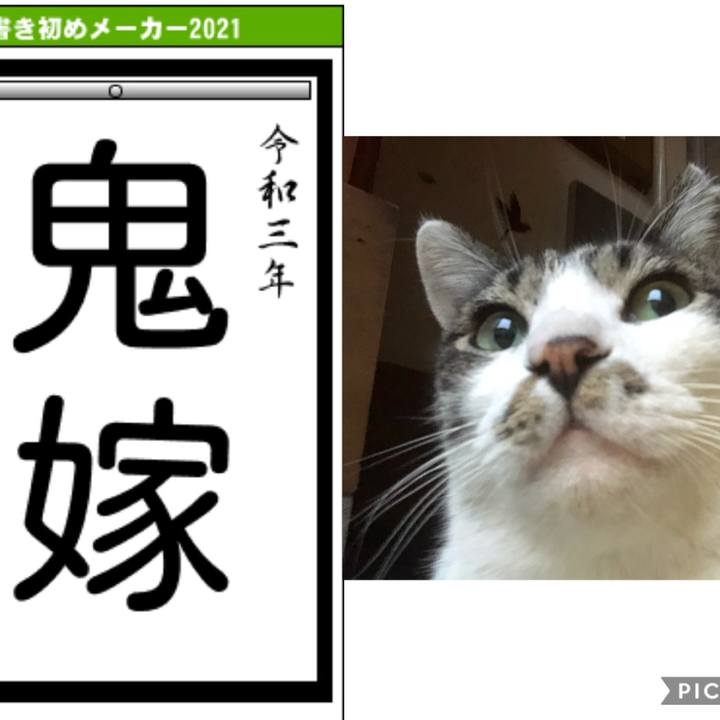 E2827865 cb44 4ab5 b2d5 41ebbc96694a 1609591393241