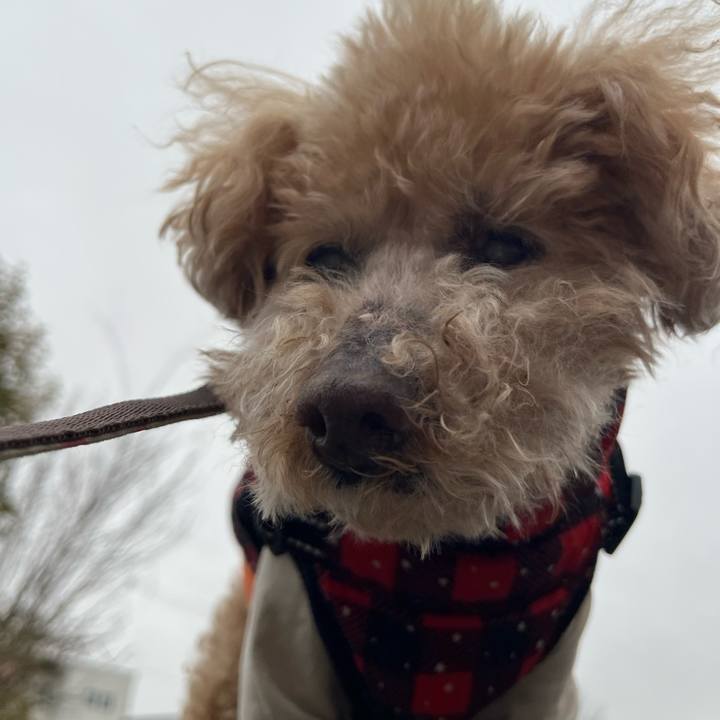 E2828305 efc2 47ce ba99 e85953b4d34f 1770430397078