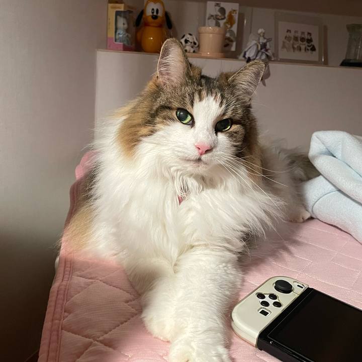 E282d6f8 6a9b 4df9 a6b6 f46958524cbc 1752246445952