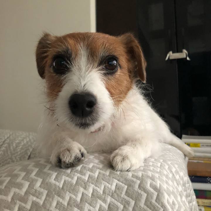 E282e0d4 6326 4527 a9ea eb282ba345f3 1620486884791