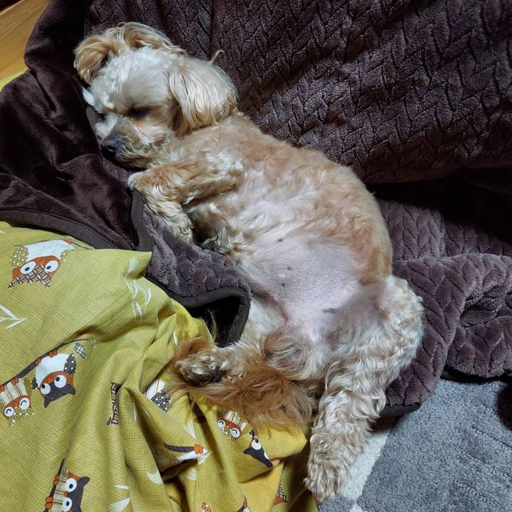 E282e477 73d4 49ff a1f8 5be100f33111 1647688784394