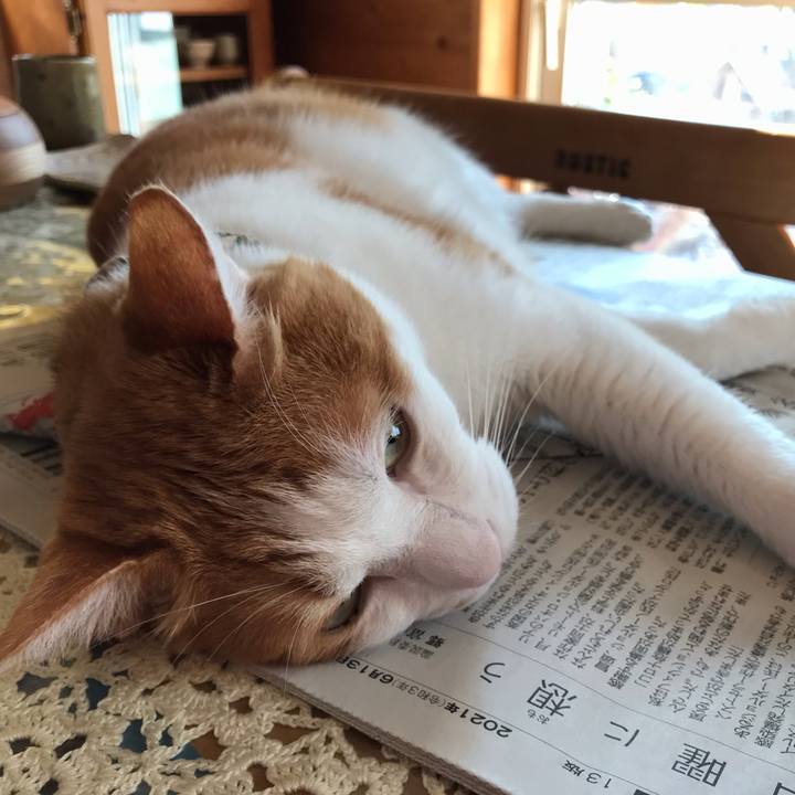 E282f832 820b 4653 ae4c c6355c170cd2 1623538250502