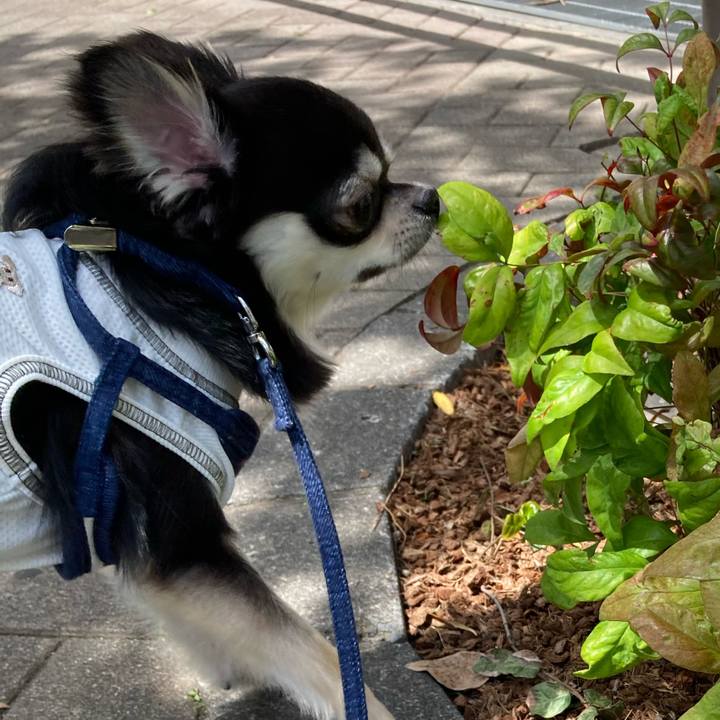 E2830de5 139f 4fa6 9155 ffa23f2cb5c9 1620103632854