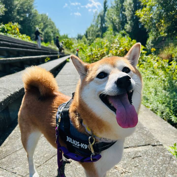 E2832e4c 16b0 48ee b109 b0e6591e422d 1757908144391