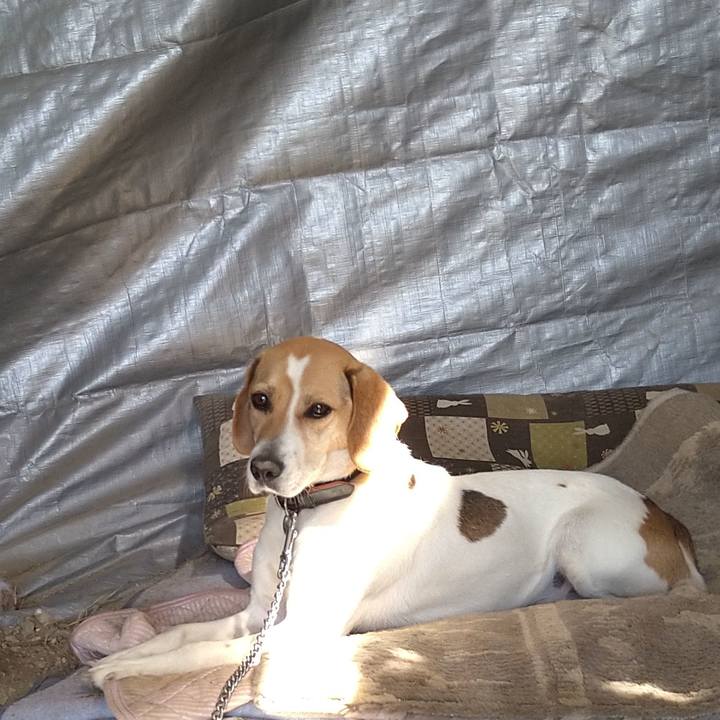 E2832f54 50c5 4704 a85f 3f3e85fafa8c 1624511880265