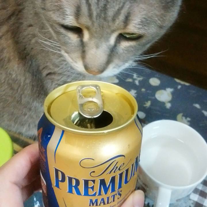 E2833c32 003f 480a 940e a4f139a252cd 1525365039585