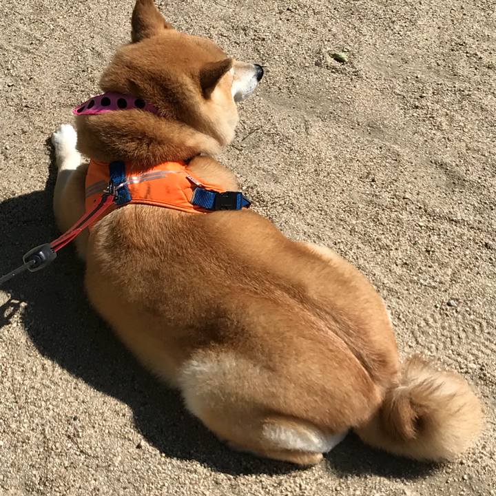 E2833c65 56d0 4b3b 8e3d 76ae46ca08c5 1526890399823