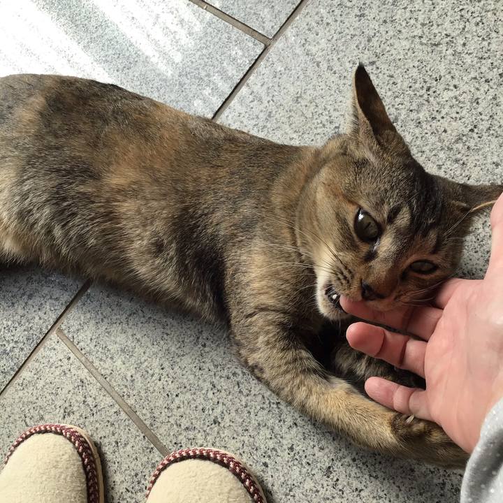 E2834512 a0d3 4262 bd15 2f244a7fa8a1 1579577754360