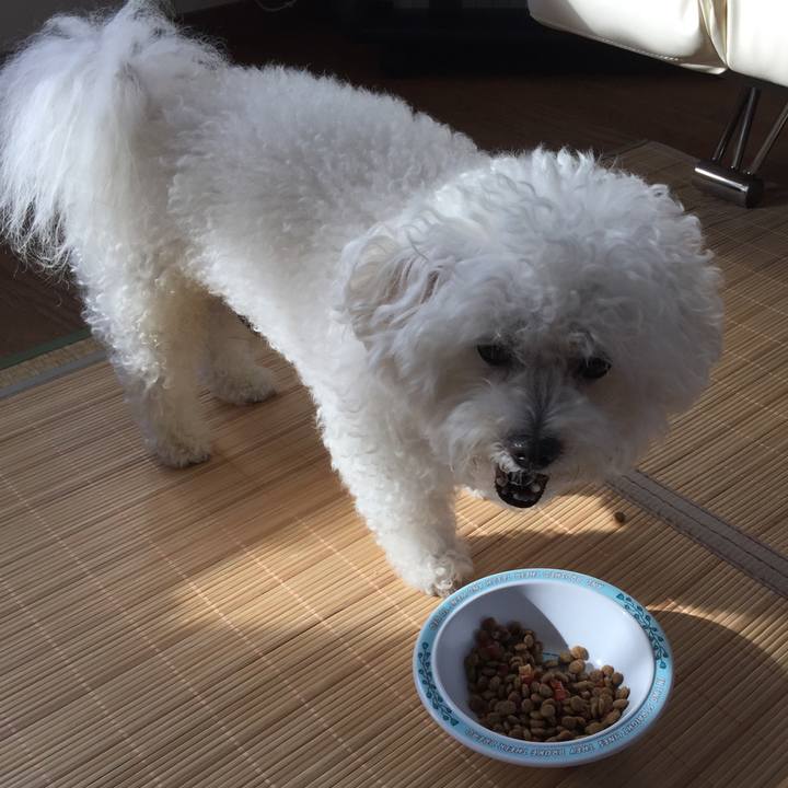 E28349ae b1db 4346 8fce f682668ae57f 1538713984645