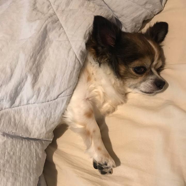 E2835dab 3be2 46c0 acdc 99abc9478e10 1602255287380