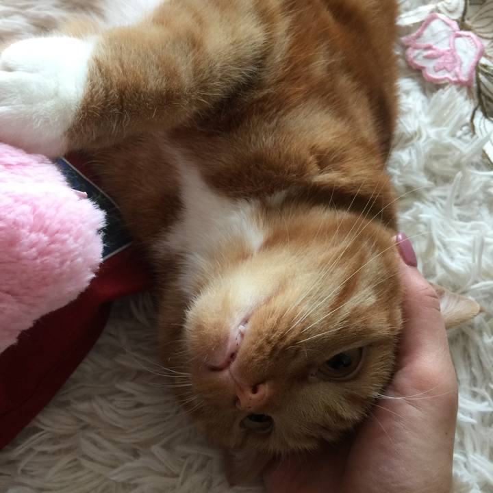 E2838e2f 18ab 4fd3 87dd 7e11a7810c06 1557439391928