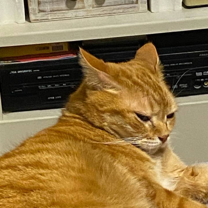 E2839601 0c9a 4ea0 85ec 629138dd77f6 1616332161659