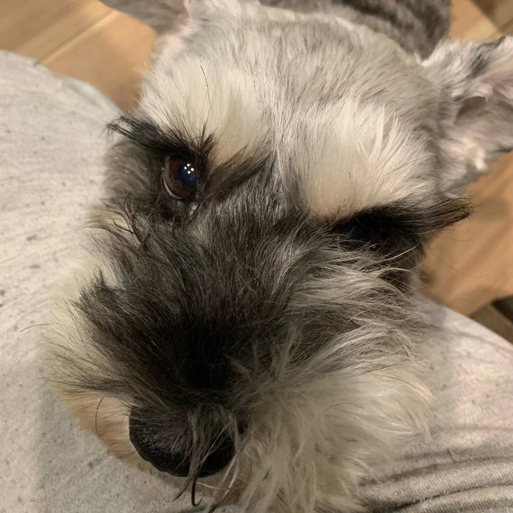 E283e598 e131 490d a0d3 799832ddd6f1 1604300645369