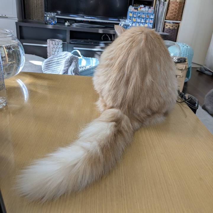 E2840088 e9e6 4a50 a0f7 303b9d36741e 1768010028655