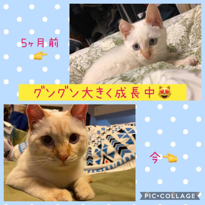 E284083e 4c34 45b6 aaf9 971c4b4d9d53 1584360357508