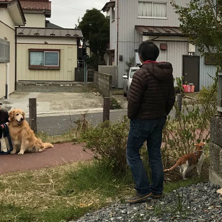 E2840d77 b5ec 4a6d 9a3f cb9c895d57da 1523790296966