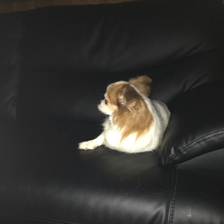 E2841c50 2ae5 4141 b4a3 0886efd8cda8 1566218511146