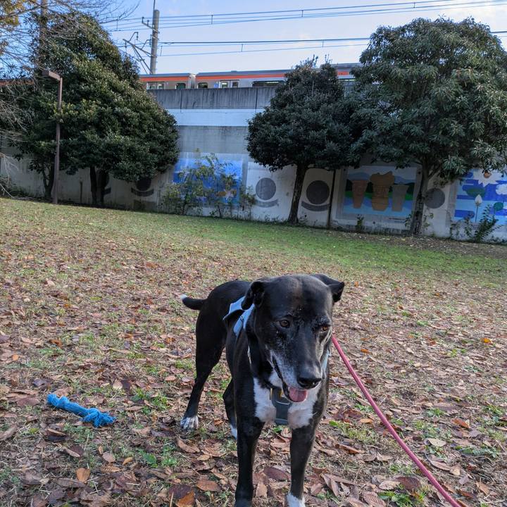 E2846ab0 d48e 4809 a742 8cc7e1e40659 1733097978340