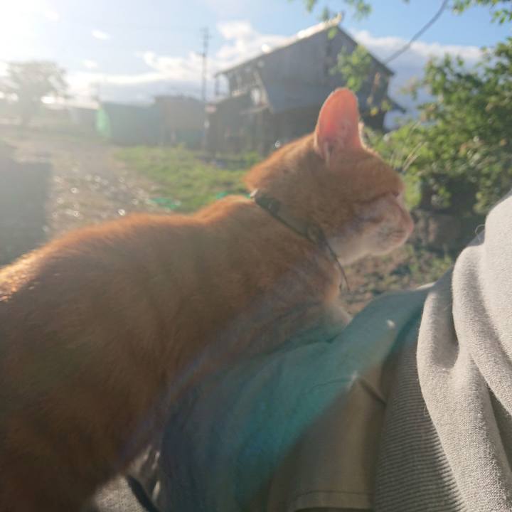 E2847329 a14a 4620 a530 68f5067afe90 1592341412366