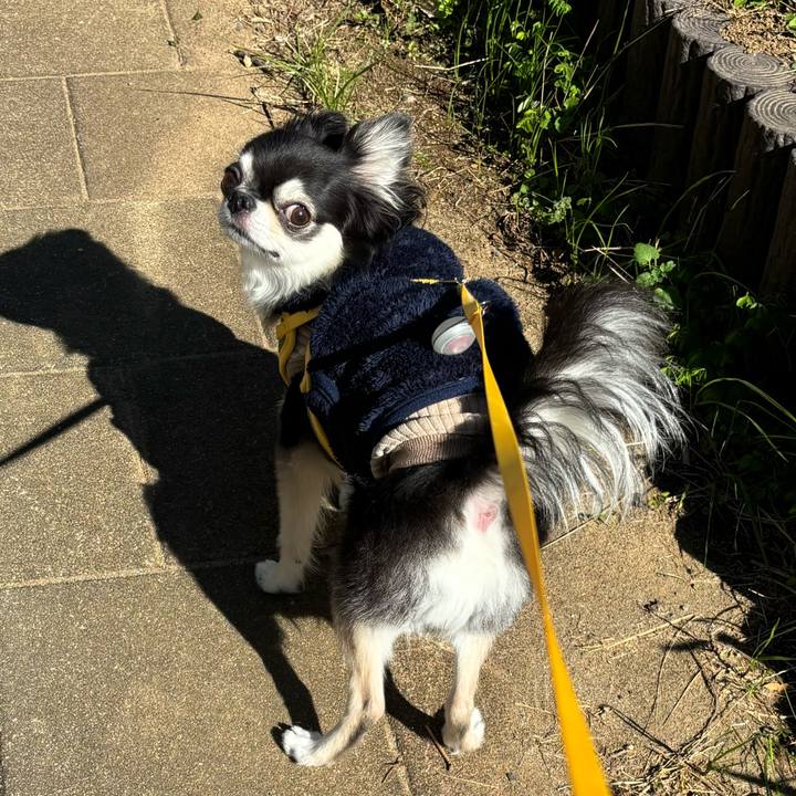 E28488a8 4bf7 4a37 a20b 94f7392ddf25 1732378092462