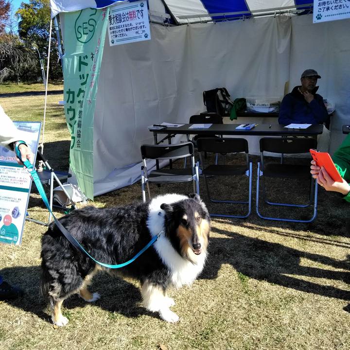 E28499ff 51c7 4a1e b738 cd66126208de 1511095606505