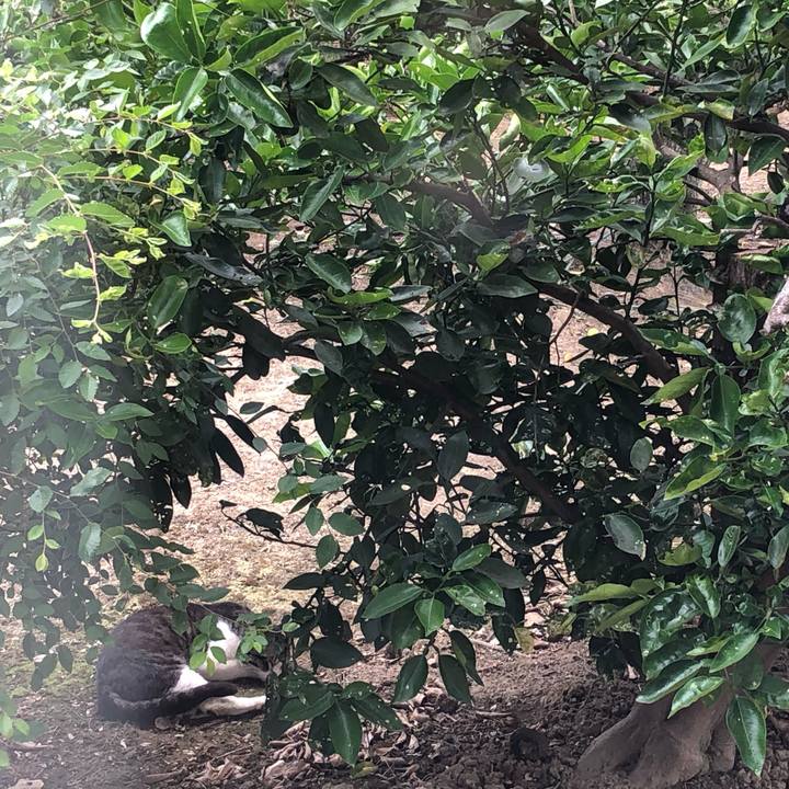 E284ab67 6a02 452b 9263 5b740f6dc782 1561001208337