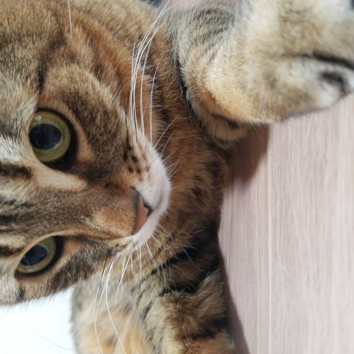 E284b630 48f5 4d29 9610 1b43d85e0202 1581115274096