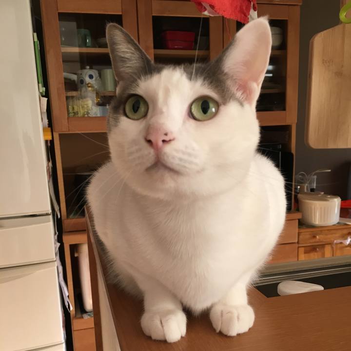 E284cc21 e2f1 49a1 8b18 91400a4ca9d9 1539470320291