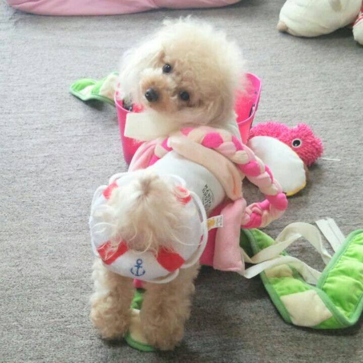 E284d11f afa6 4375 8625 02c1db41e4ce 1534839526519