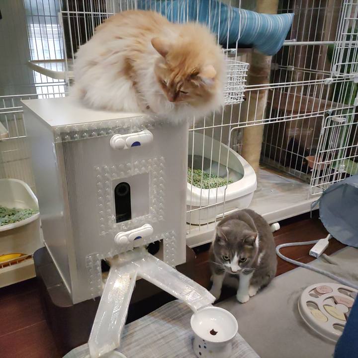 E28532d6 c2e6 4f27 9119 a04e0f6f580a 1712099219668