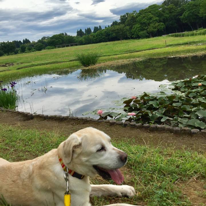 E28545ba 6730 4cd6 920e 945ace9f7e9e 1530665014337