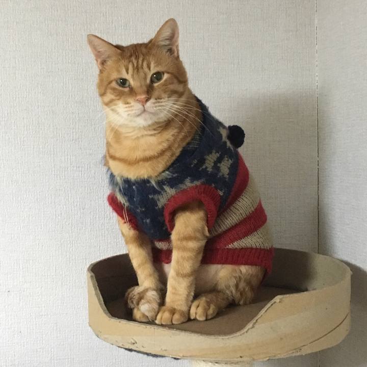 E2857d42 8b52 447b 9932 3fe9cbe13060 1543701418580