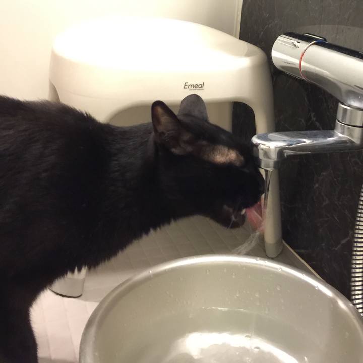 E2859812 133a 4916 9a0d f36974ca2767 1590669428734