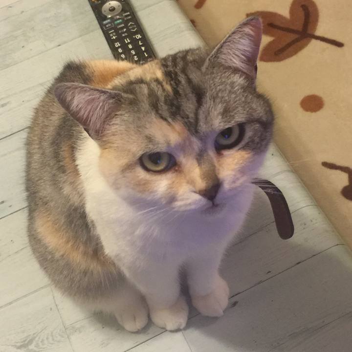 E285abf6 9083 42f0 a01a 1fb46bc8d5b0 1558439969237