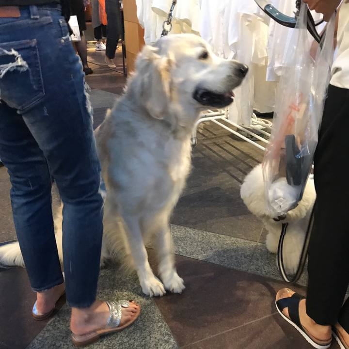 E285c7c9 7f27 4b85 9e31 c088205db98e 1528404178628