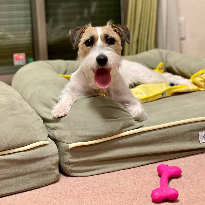 E285cf0a c482 4e40 a28f dc244c3295ec 1629121269939