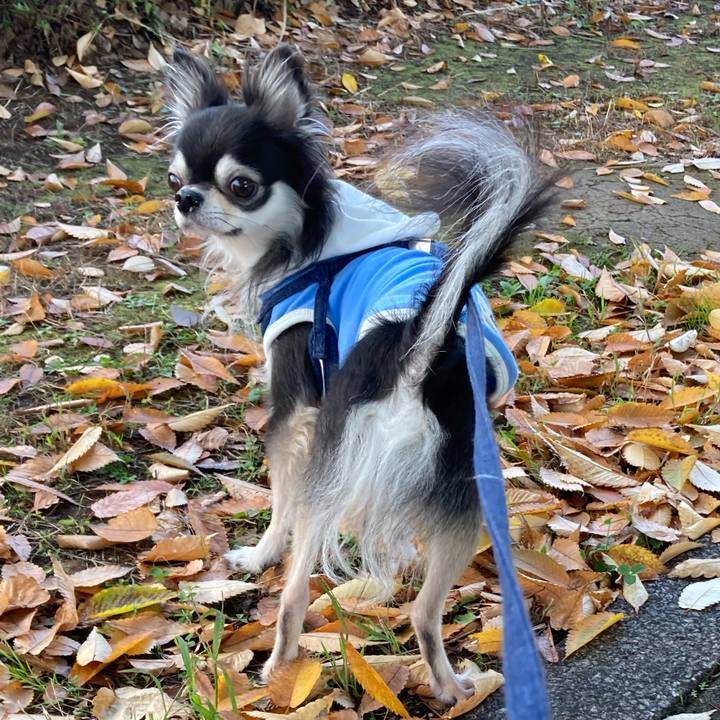 E285e5cd 1ad3 40a0 83ef 773e7c437270 1668350927390