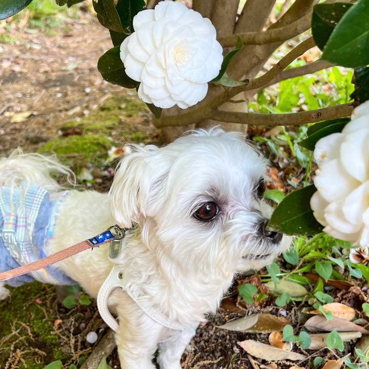 E285fbe7 b77f 4f97 addc 7a261c7c832c 1681444642391