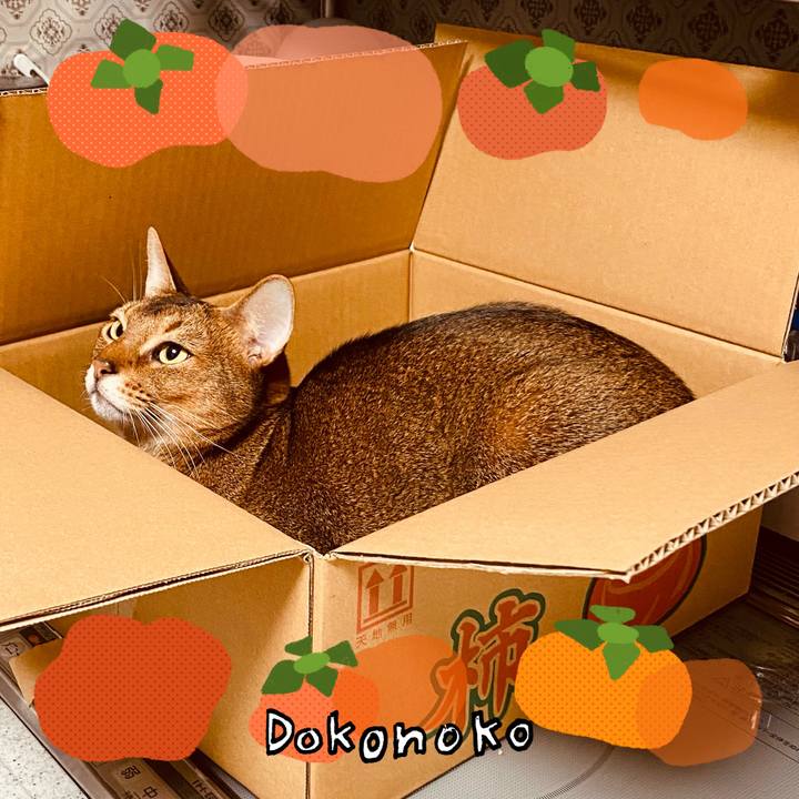 E285ff86 8867 4e23 8e92 36eb6ad939db 1761787574175