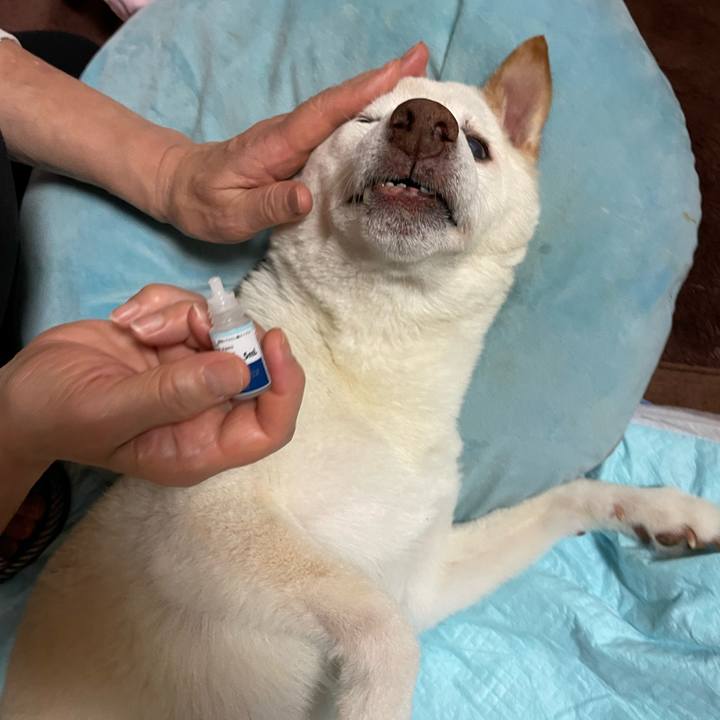 E286155f 0ce2 4362 8e5b 2f9470615c3e 1666565860891