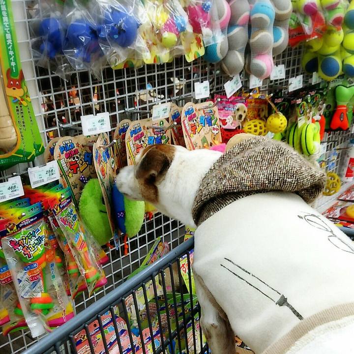 E2864584 08b4 4789 bf6a 166d75587284 1519557170649