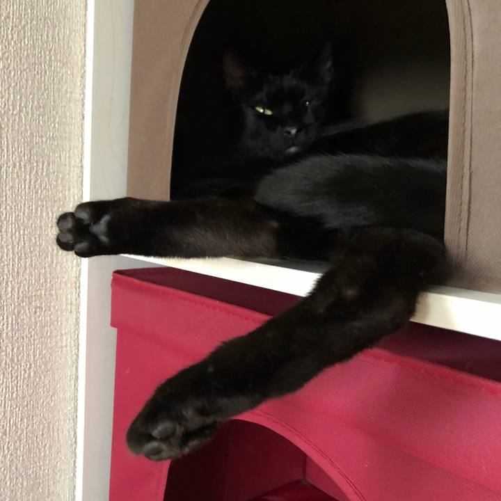 E2869909 963b 4101 9180 07a092872c59 1660552401113