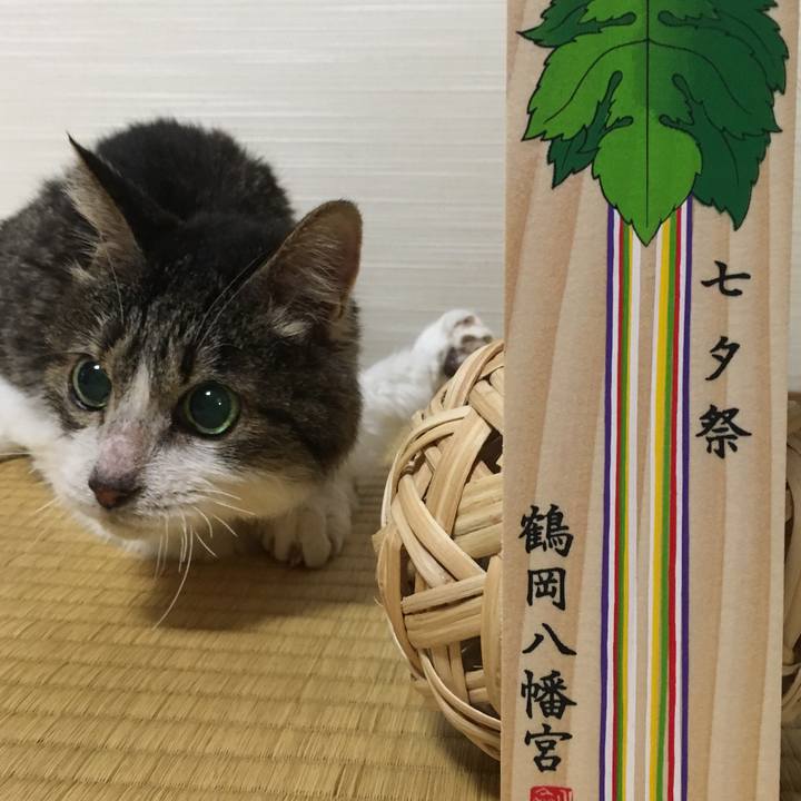 E2869ec8 6109 4415 bf8d b89907819dfa 1529830905996